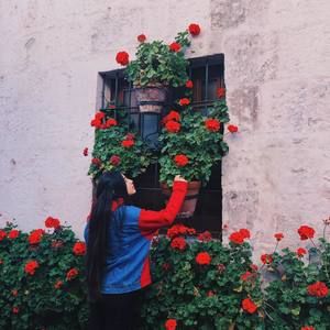 Meet your Posher, Alejandra